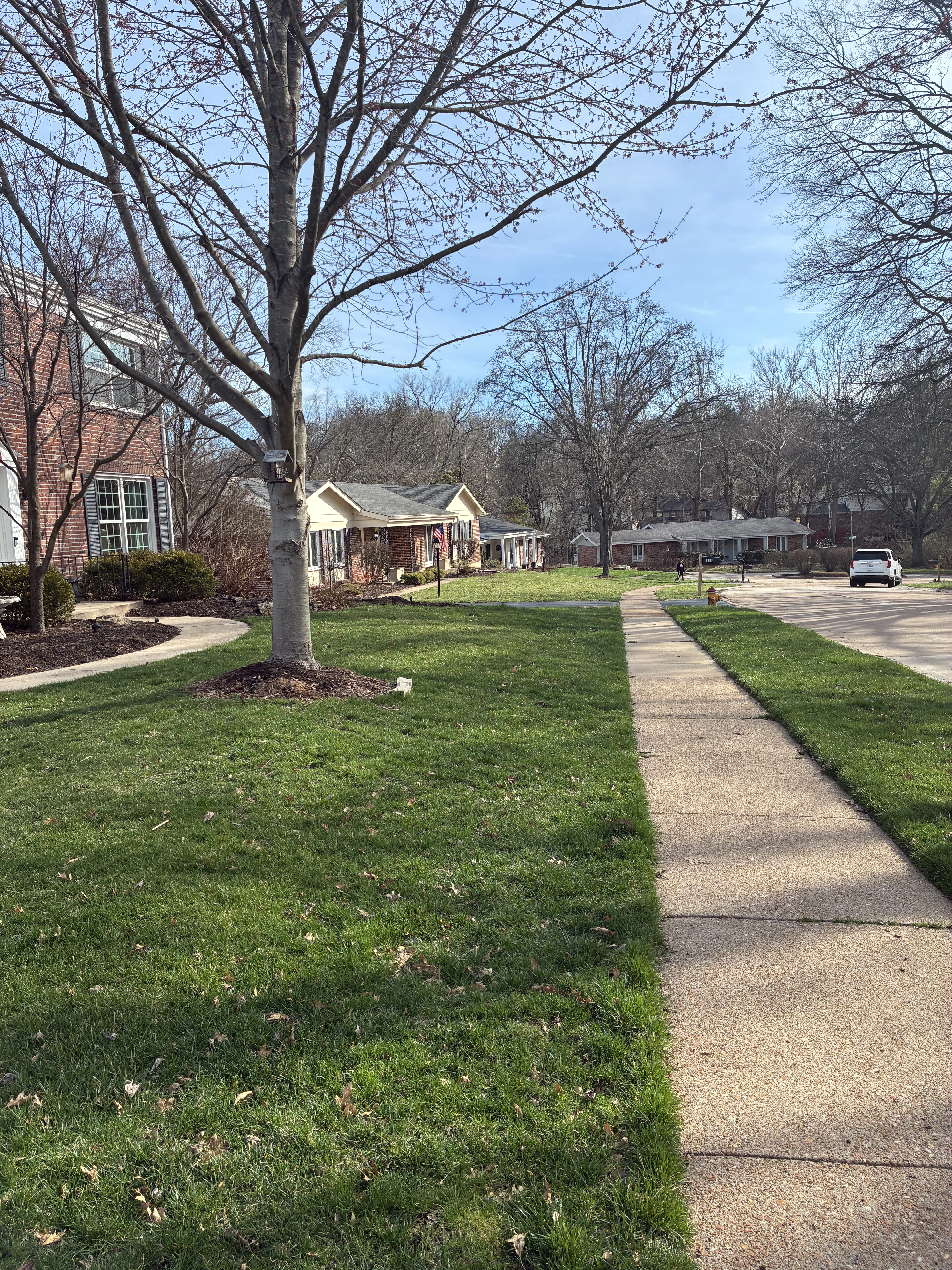 Joe walking the neighborhood on a sunny day in Chesterfield, Missouri — Day 15 post-op